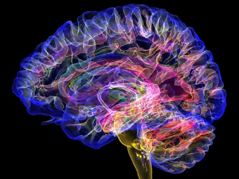 最激烈的操逼视频国产大脑植入物有助于严重头部损伤恢复
